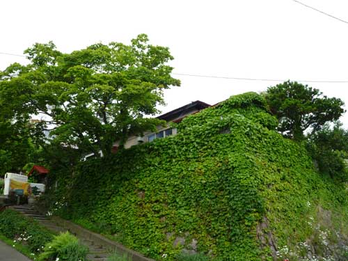 The Otarunai Backpackers' Hostel Morinoki