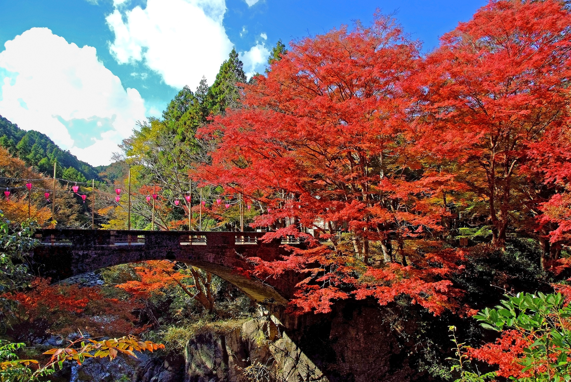 Guest Hotel Seki Lodge