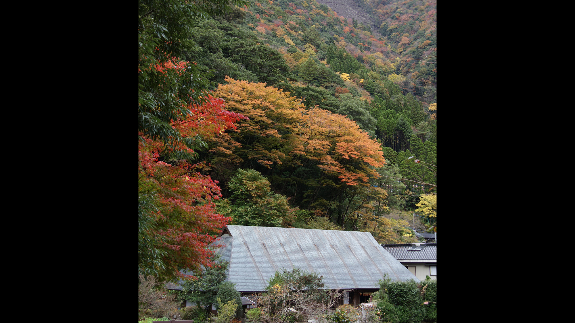 旅馆 鹤富屋敷