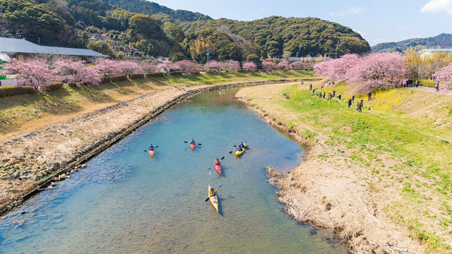 Kyukamura Minami-Izu