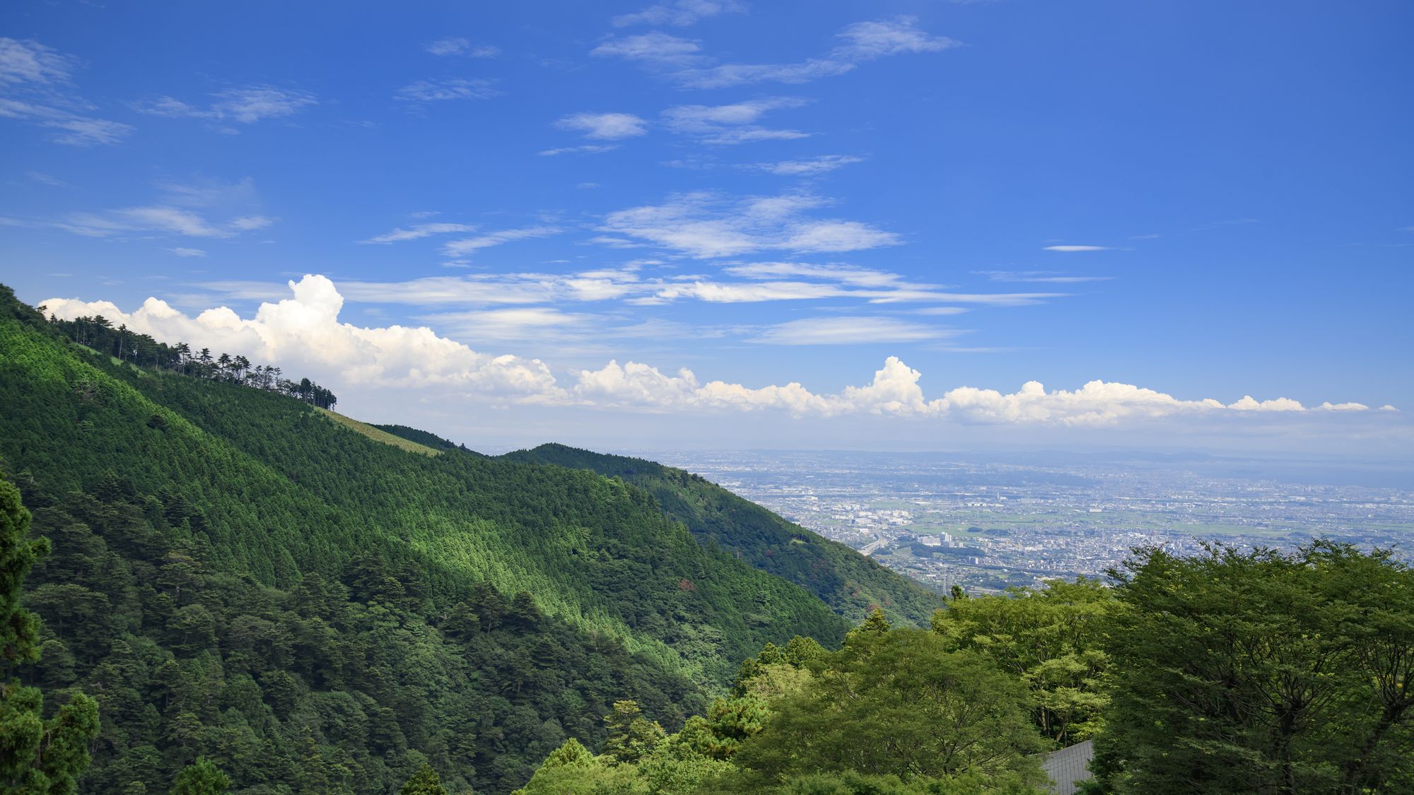 Hotel MyStays Atsugi