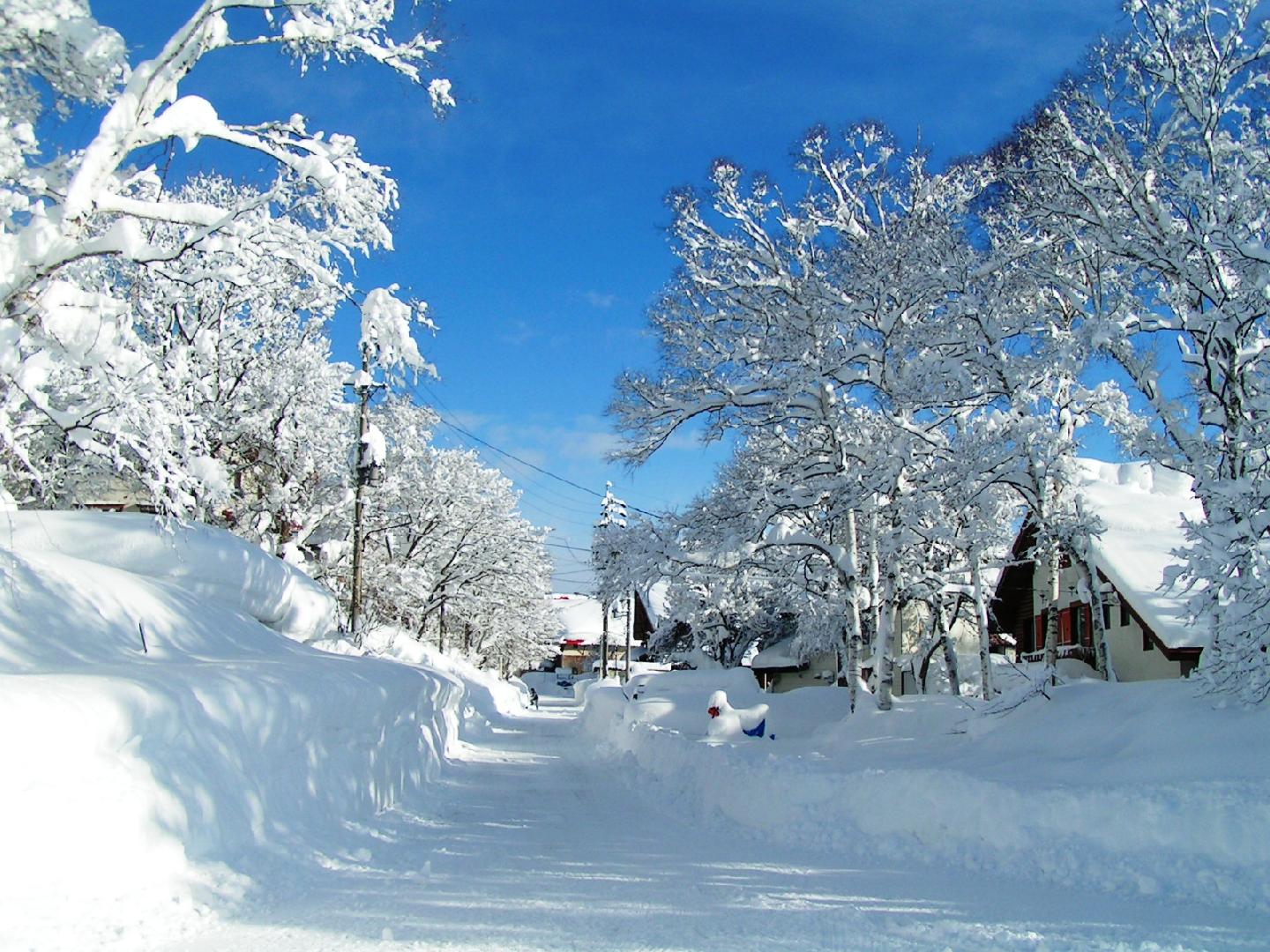 Madarao Elm Pension