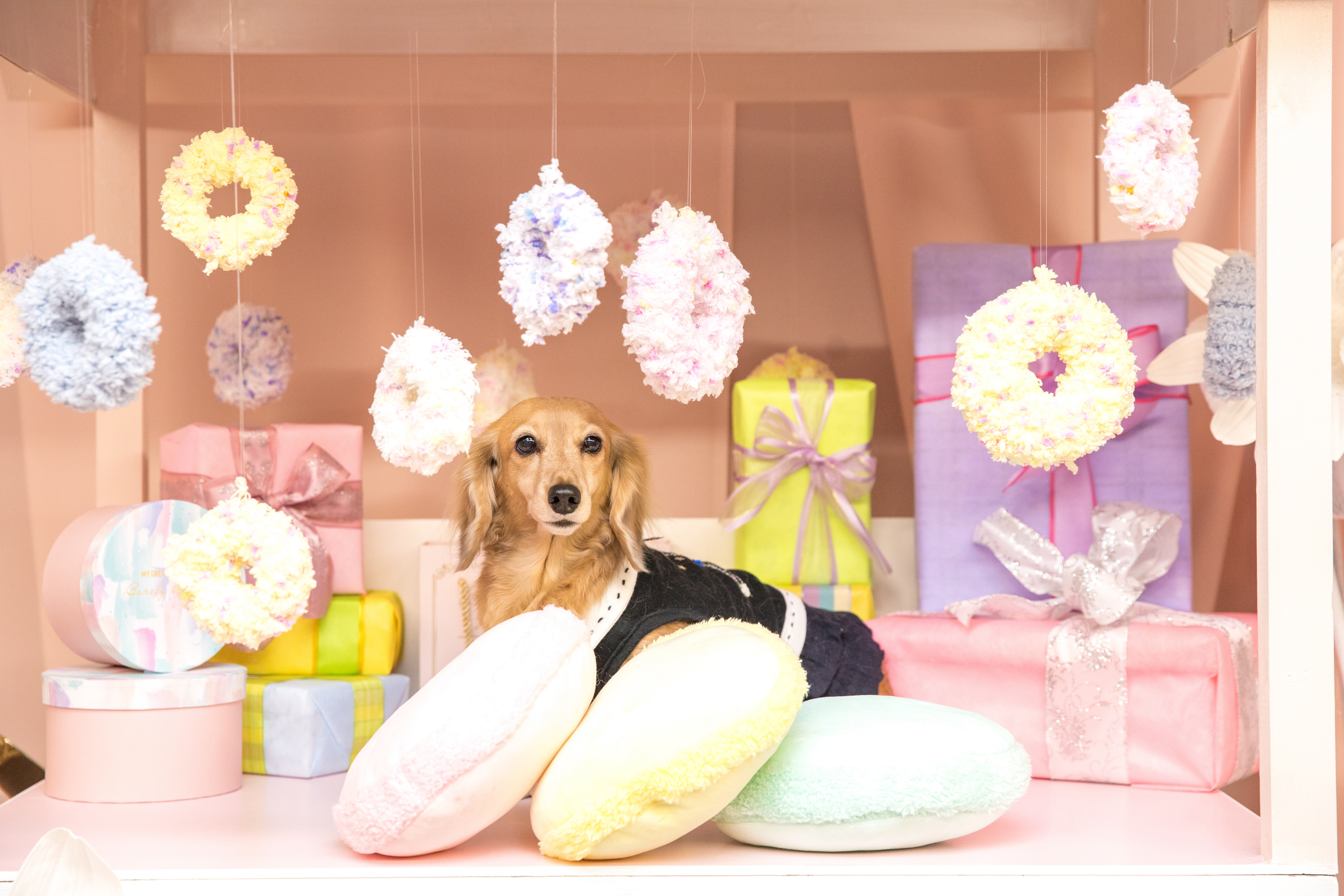 湘南鎌倉クリスタルホテル