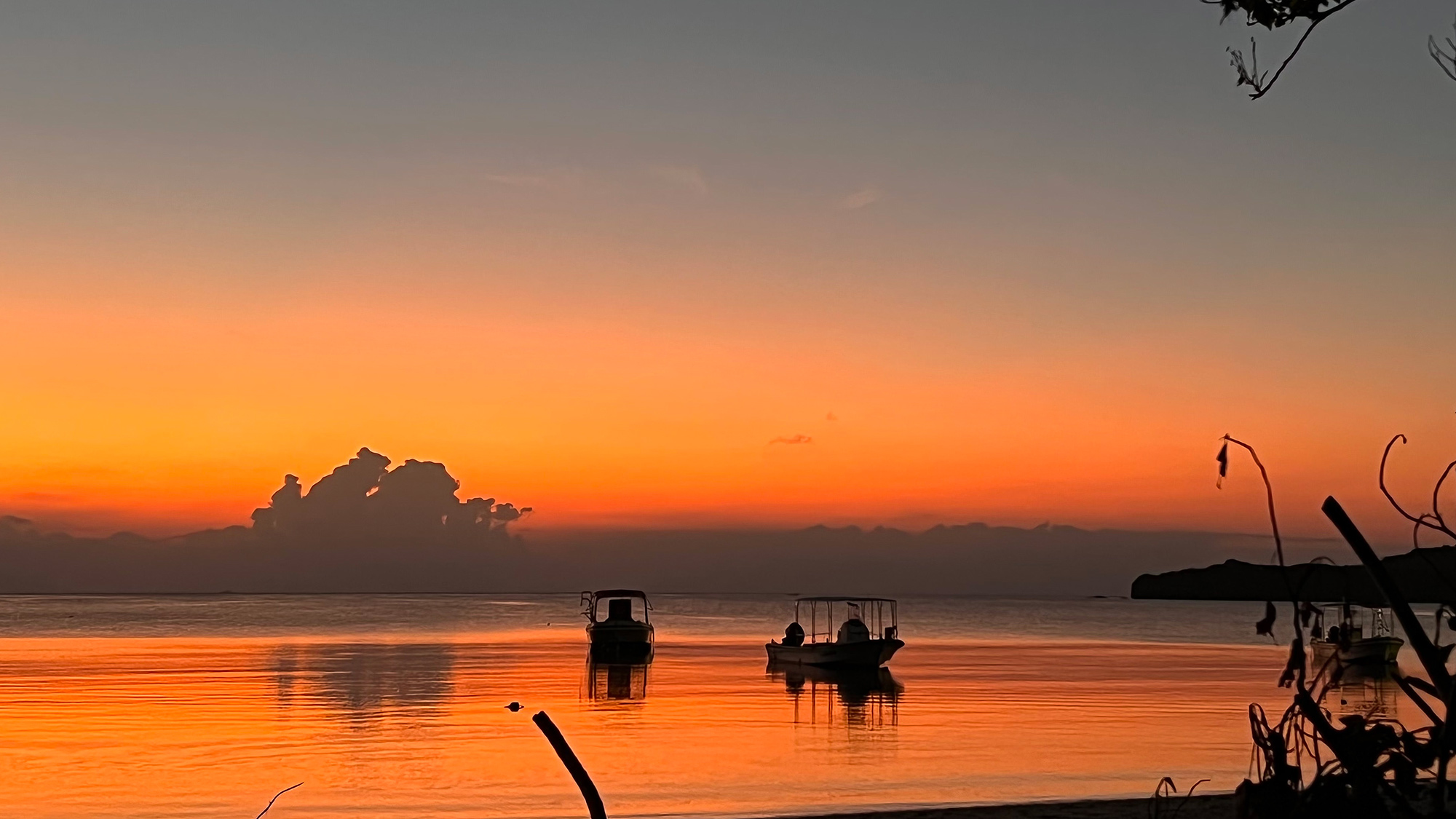 Ｉｓｌａｎｄ　Ｖｉｌｌａｇｅ　Ｉｓｈｉｇａｋｉ－ｊｉｍａ　＜石垣島＞