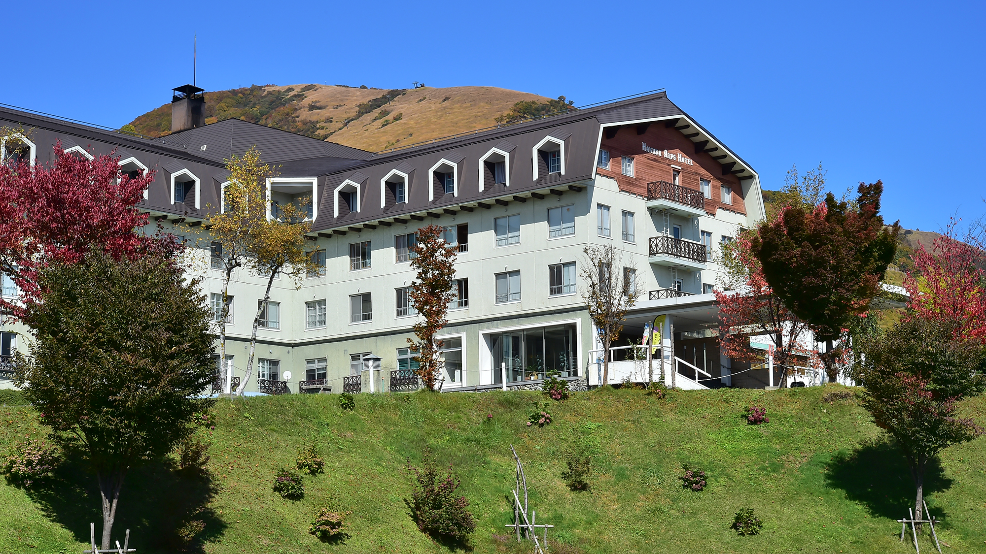白馬阿爾卑斯溫泉白馬阿爾卑斯飯店
