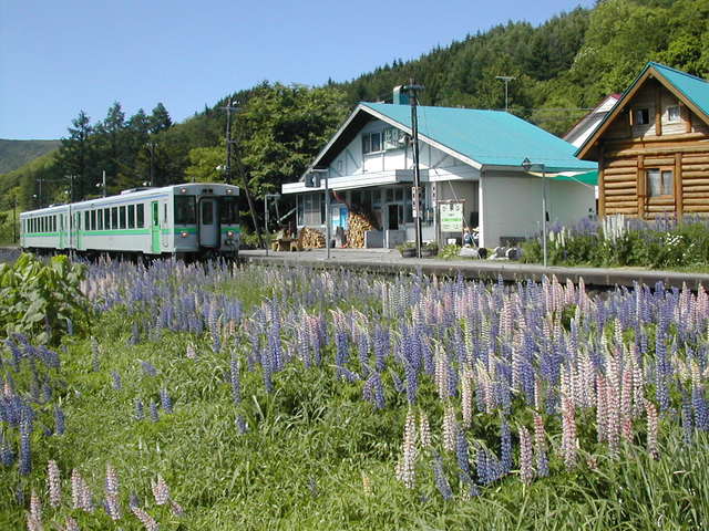 Hirafu Station Guest House