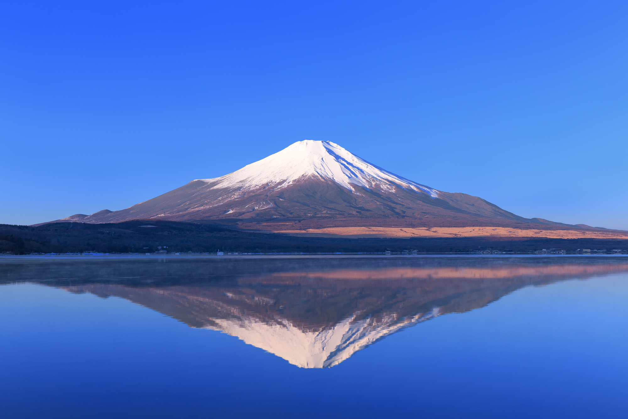 富士波山中湖湖濱 OYO 旅館