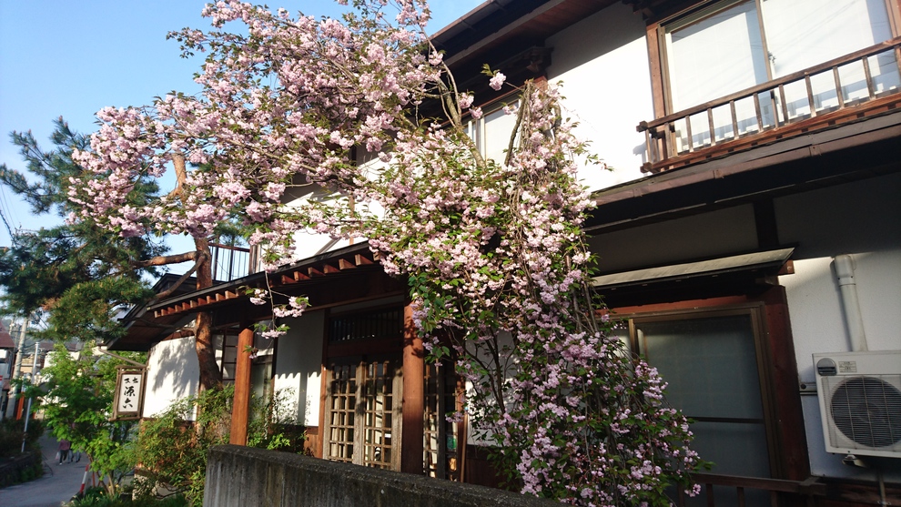 Nozawa Onsen Genroku (Nagano)