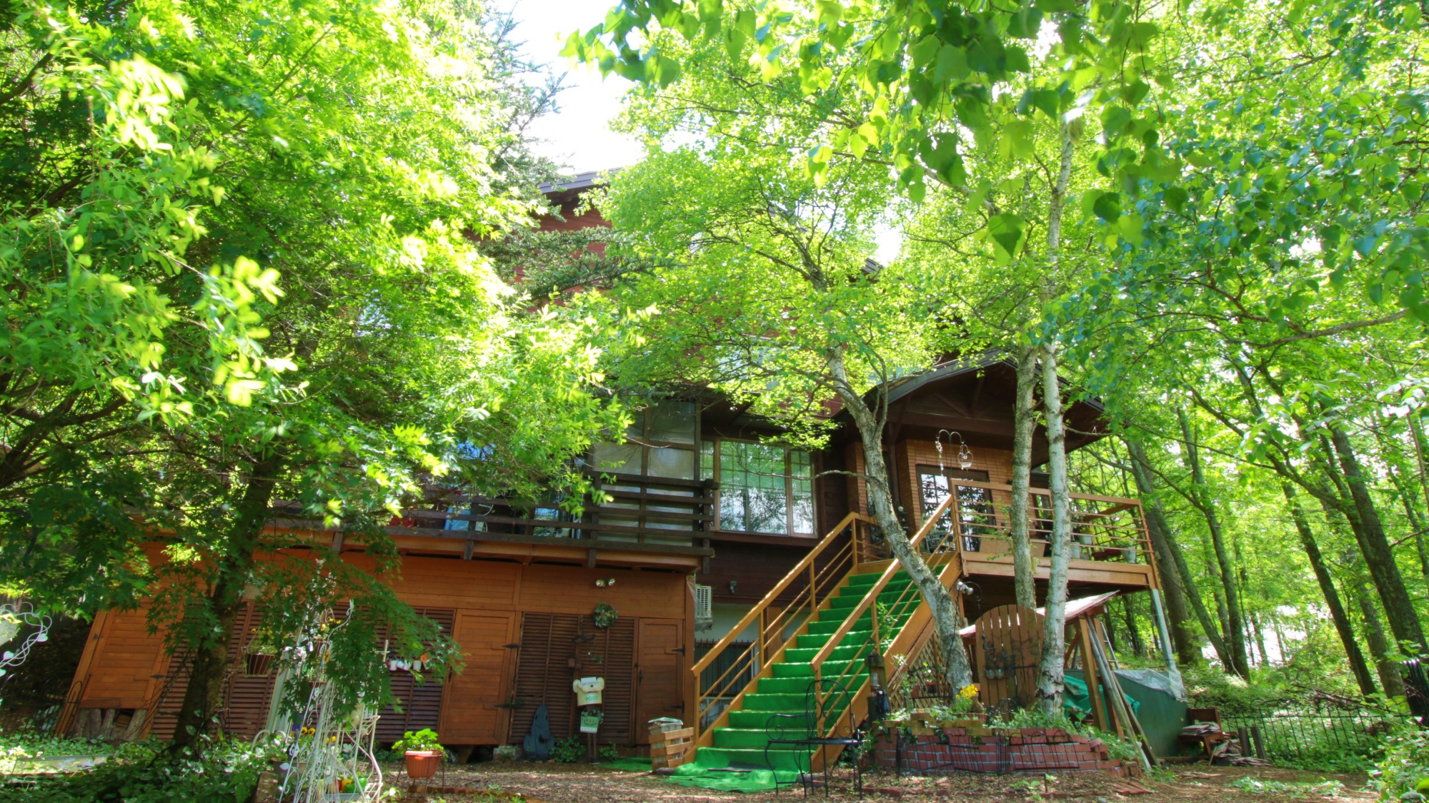 Pet-friendly Inn Shirakaba Club