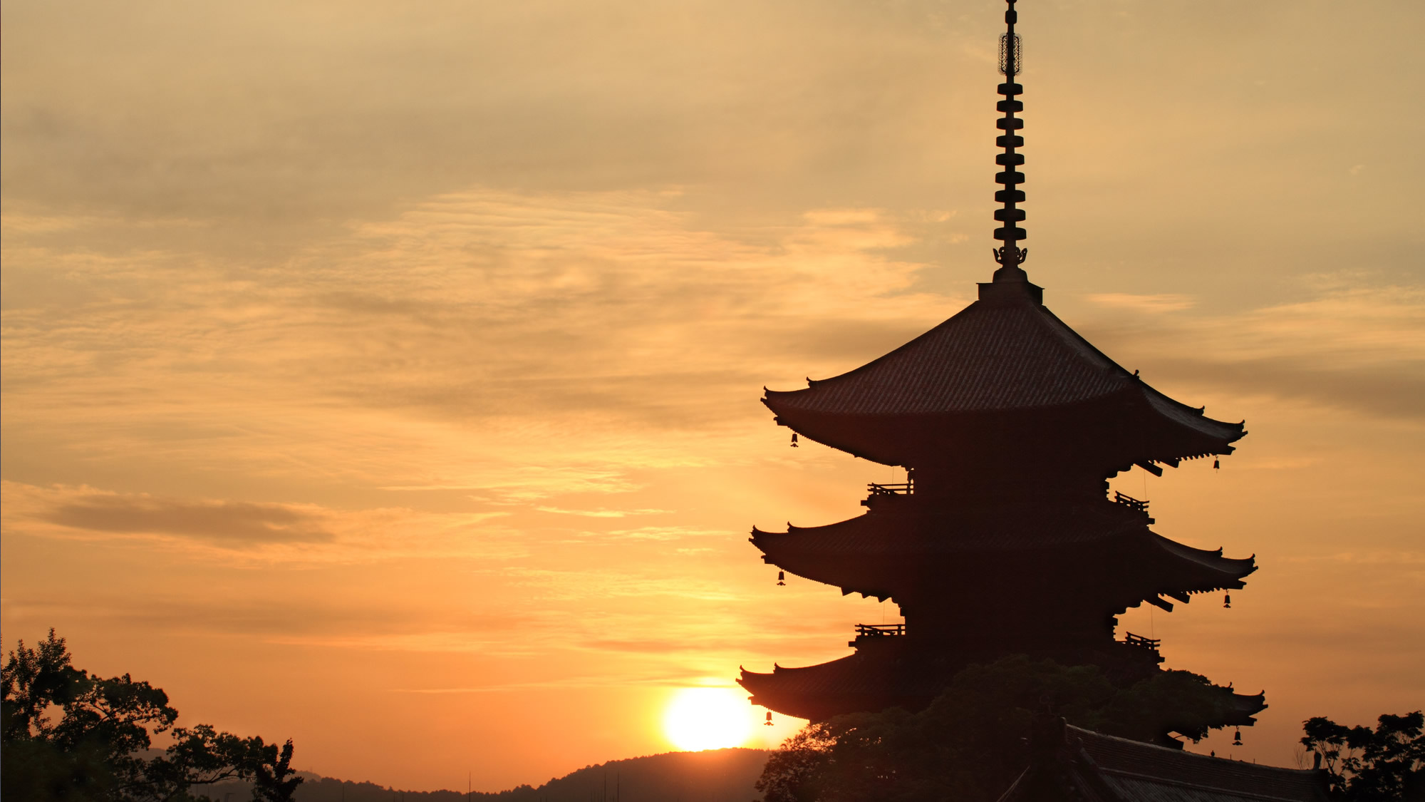 京都都市酒店