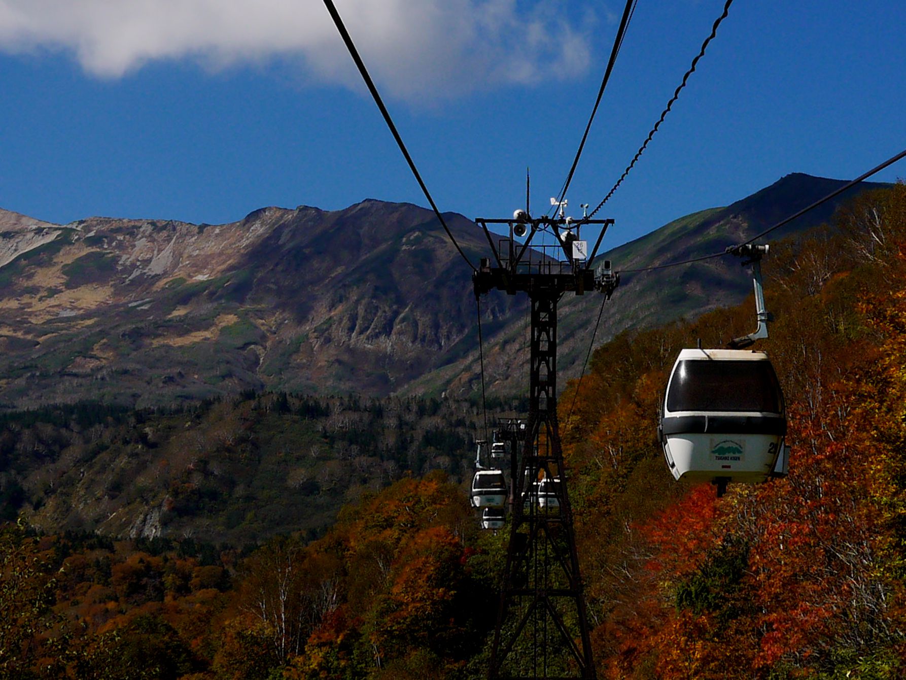 Hakuba Kazenoko