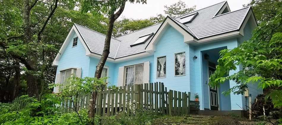 빌라 완완완 (전용 도그런 완비)