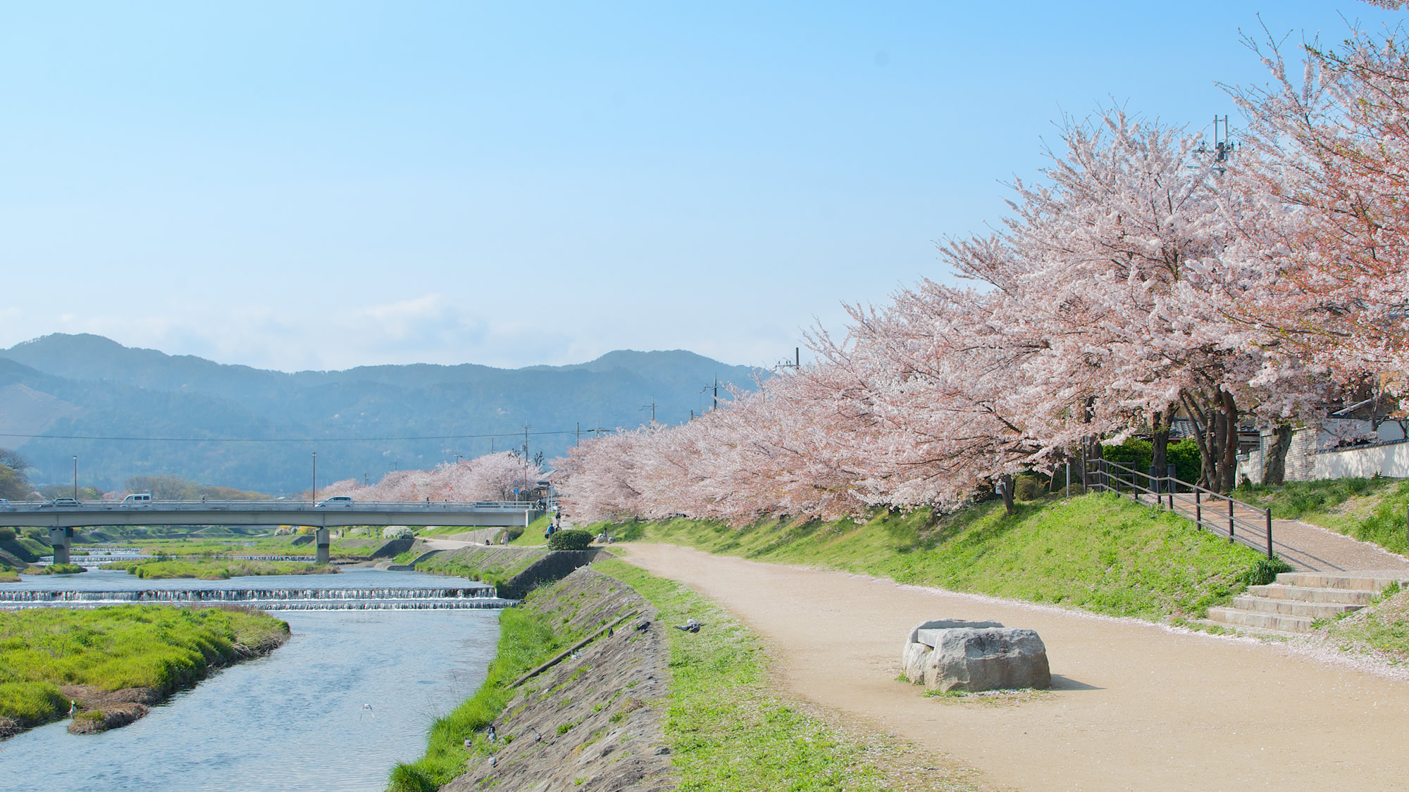 京都五条高级城市酒店