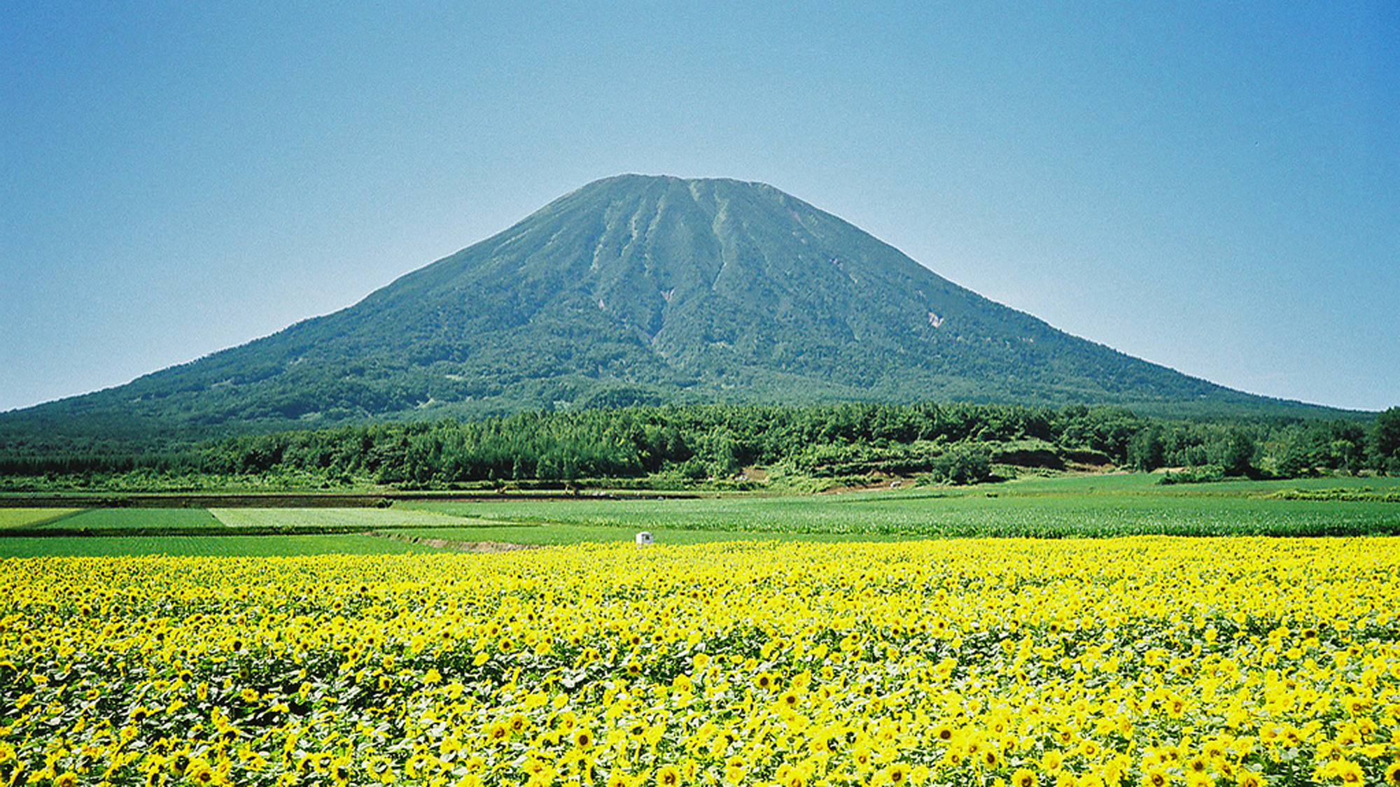 Niseko Central Miharashi Apartment