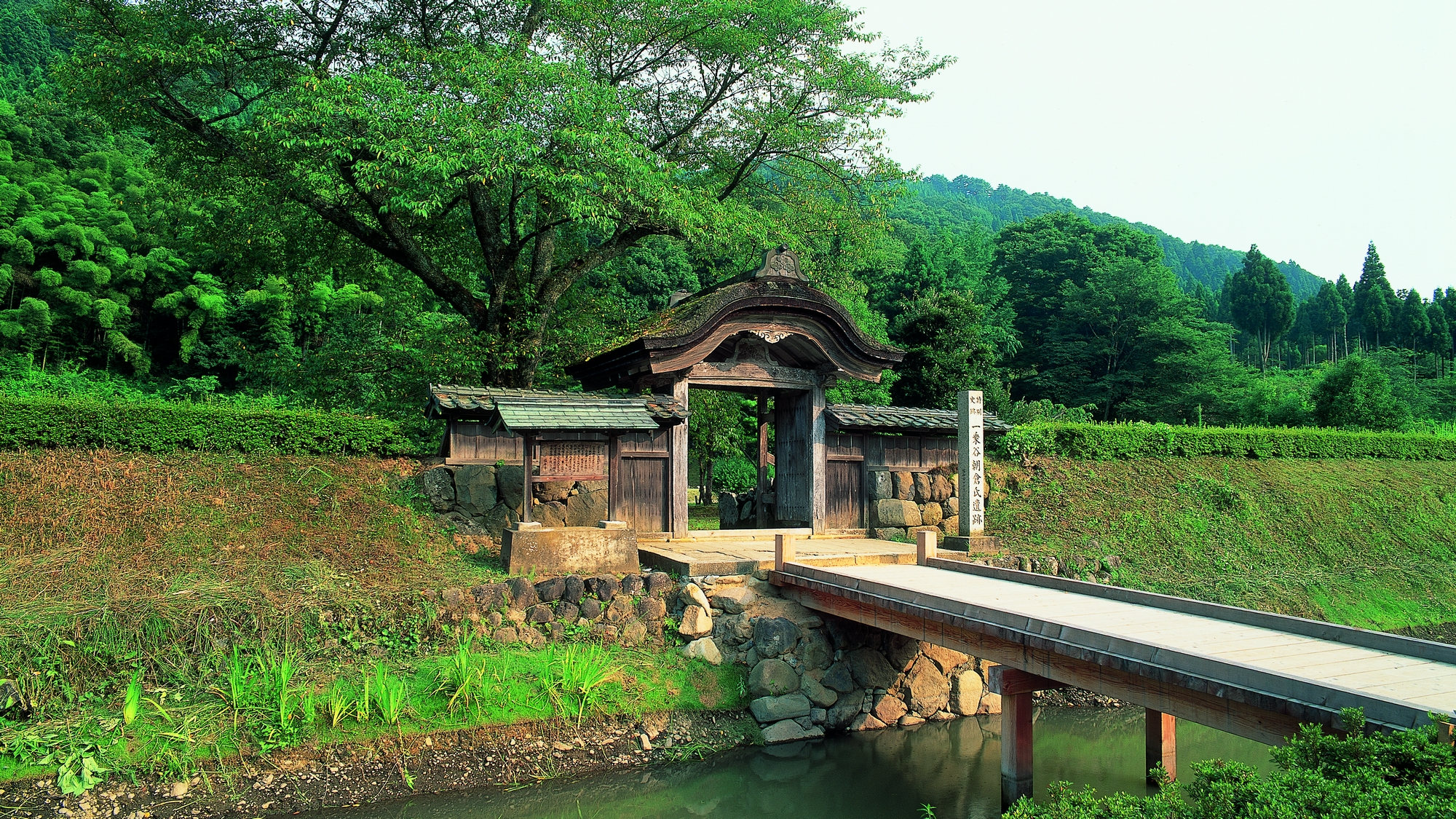 Echizen Ito Onsen Taichou no Mori