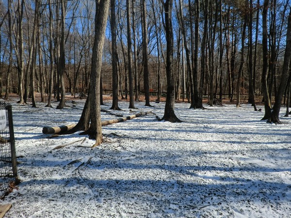 八岳狗狗天堂小屋