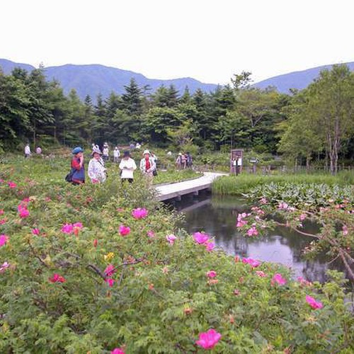 箱根甲子园Harvest酒店