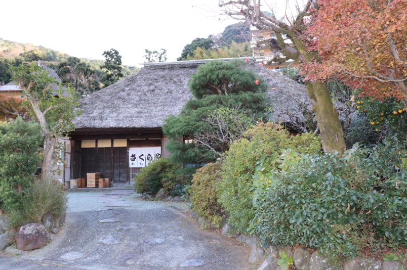 고민카 사쿠라야