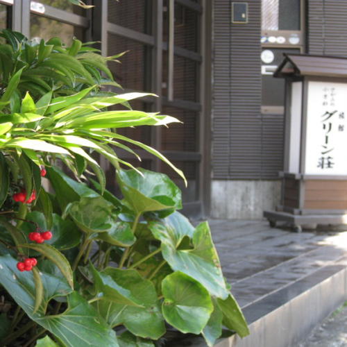 Yugawara Onsen Ryokan Greenso