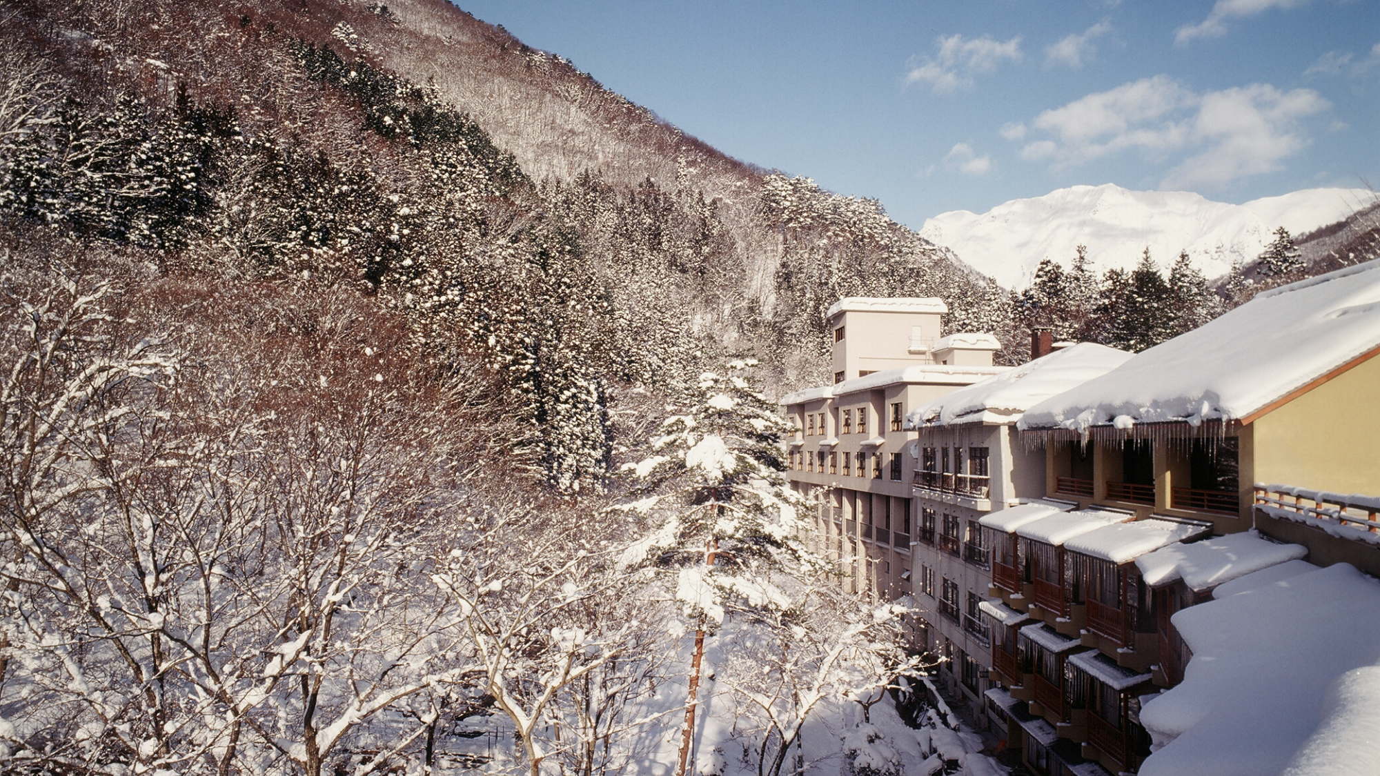 Tanigawa Onsen Kinseikan Seseragi