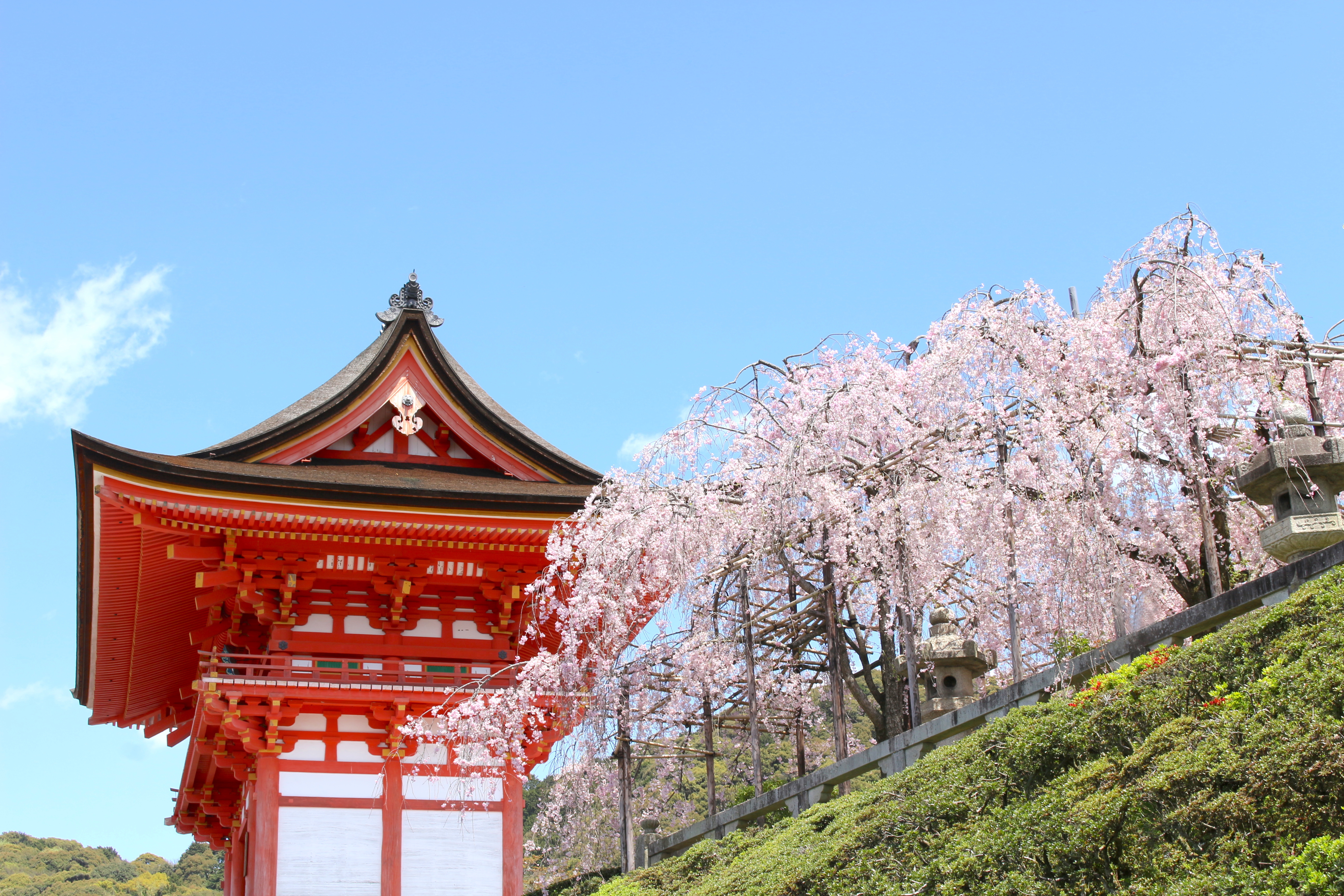 Ｓｔａｙ　ＳＡＫＵＲＡ　京都　四条烏丸