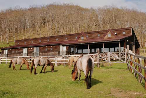 TSURUI DOSANKO FARM