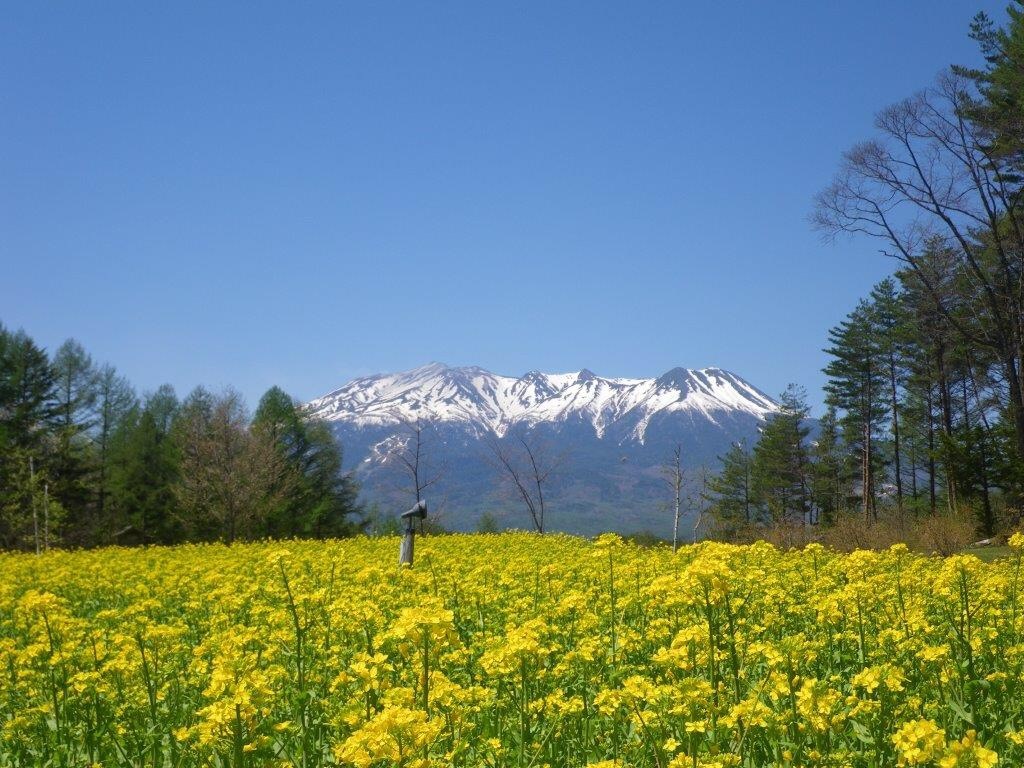 木曾岳温泉风里旅馆