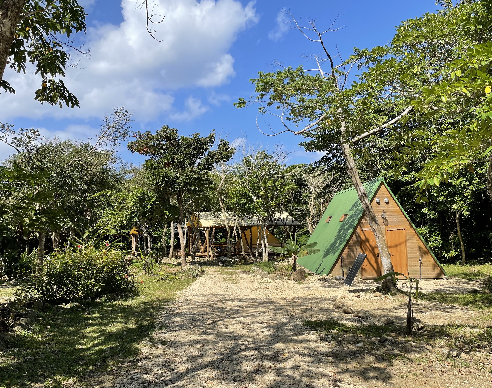 Rainbow Forest (Ishigaki Island)