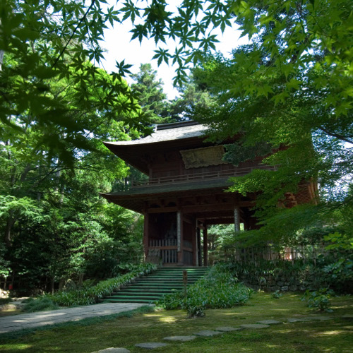 ペットと泊れる宿　ひがし茶屋街　夢見草