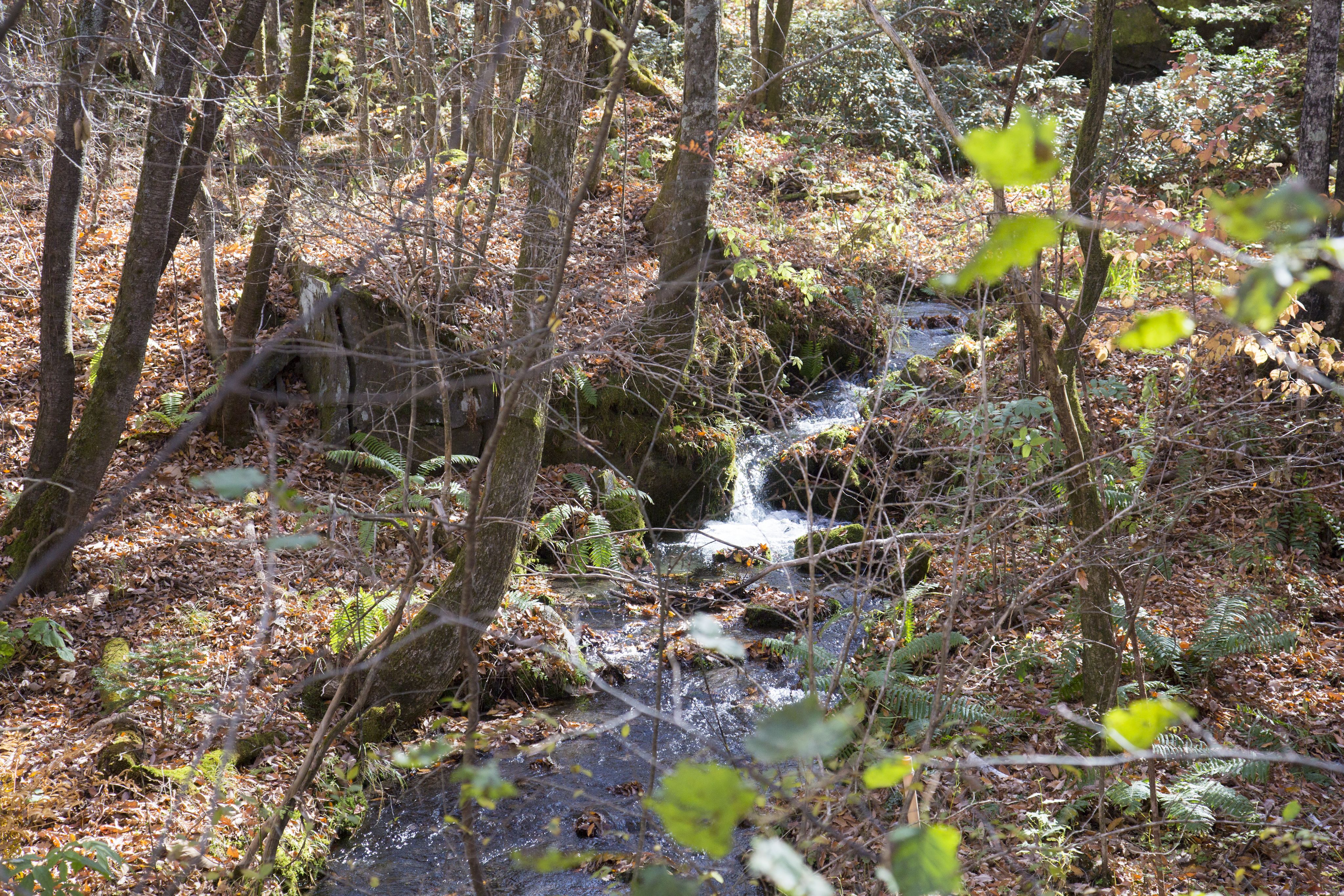 Caro Forest Kita-Karuizawa RIO