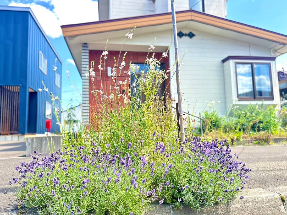 Ｓｔａｔｉｏｎ　Ｈｏｍｅ　Ｌａｖｅｎｄｅｒ