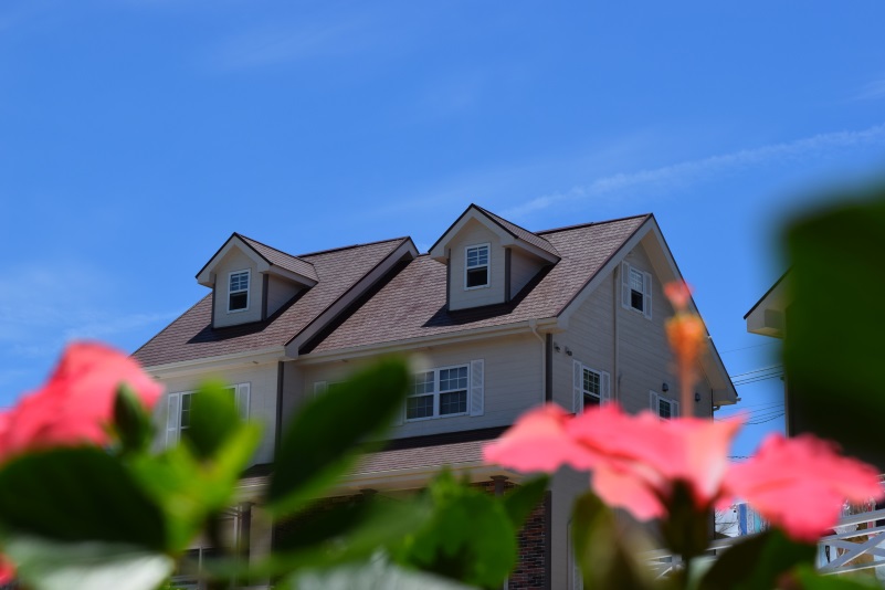 美丽海之宿　珊瑚小屋