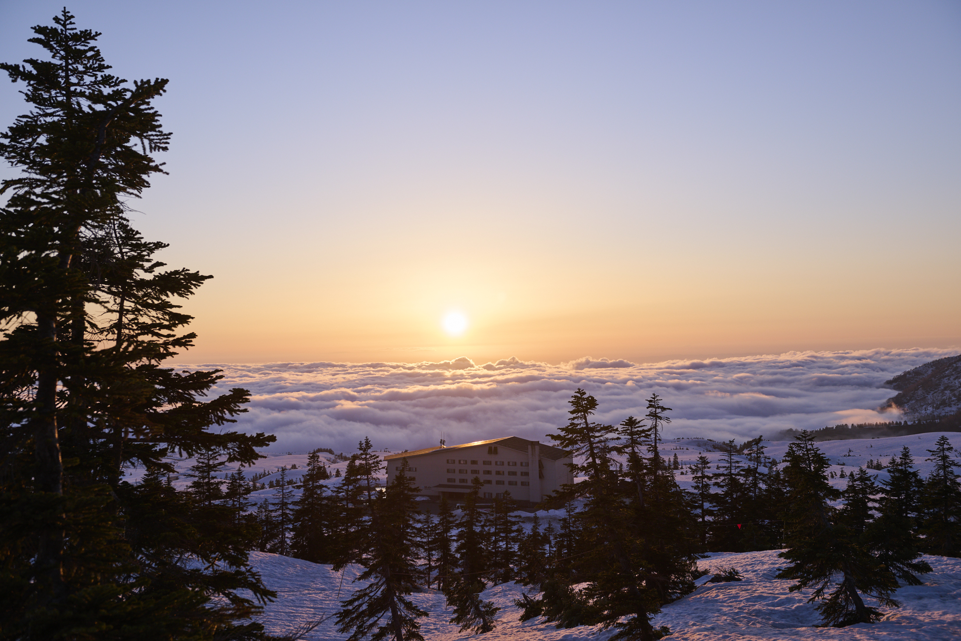 立山黑部阿爾卑斯山脈路線彌陀原飯店