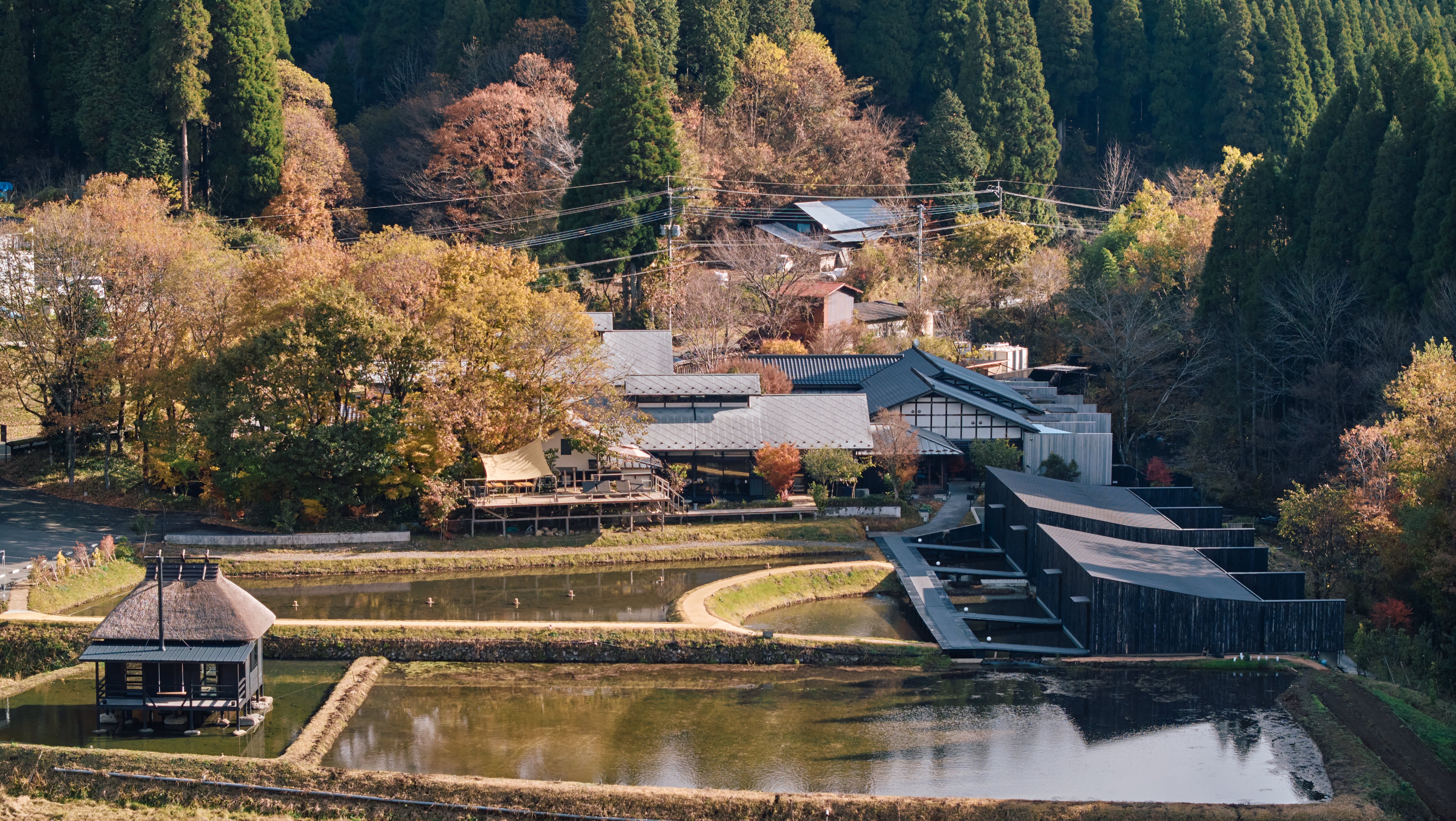 Fujinoya Couple's Hot Spring Resort