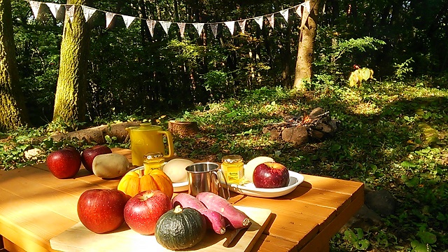 胡特里德山林小屋