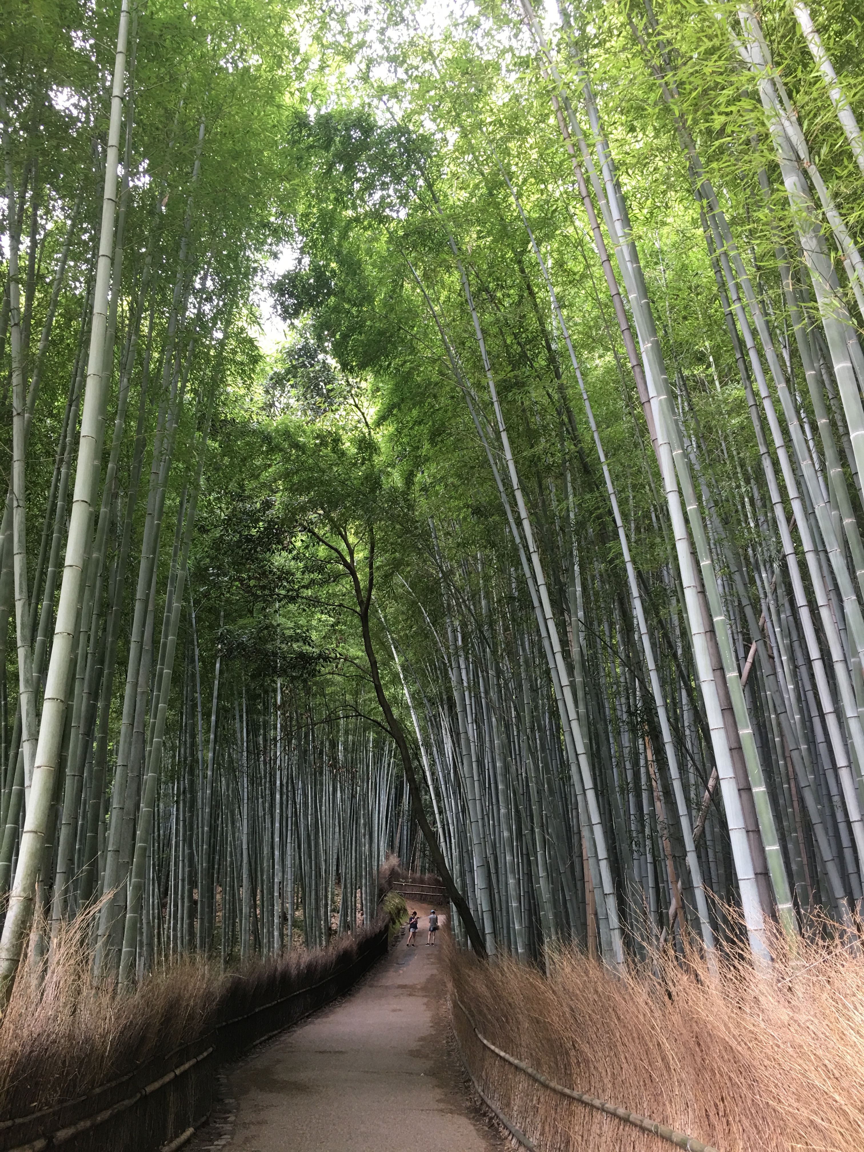 燕之家旅館