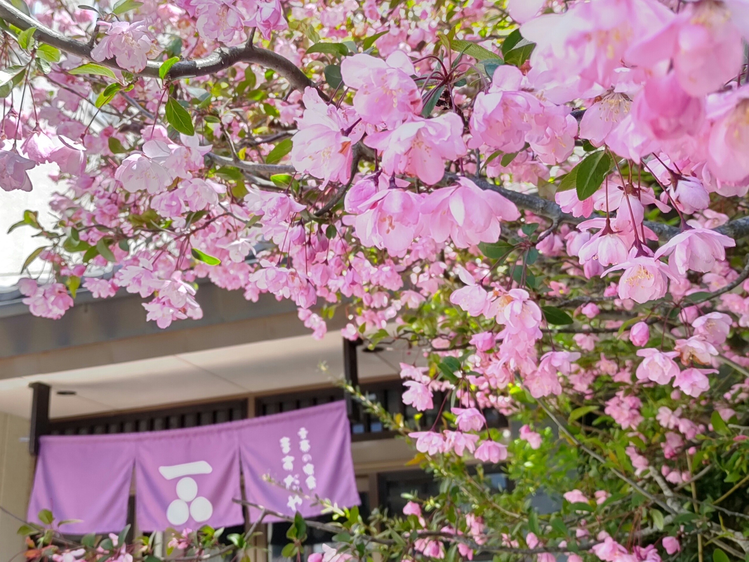 Shiobara Onsen Masudaya