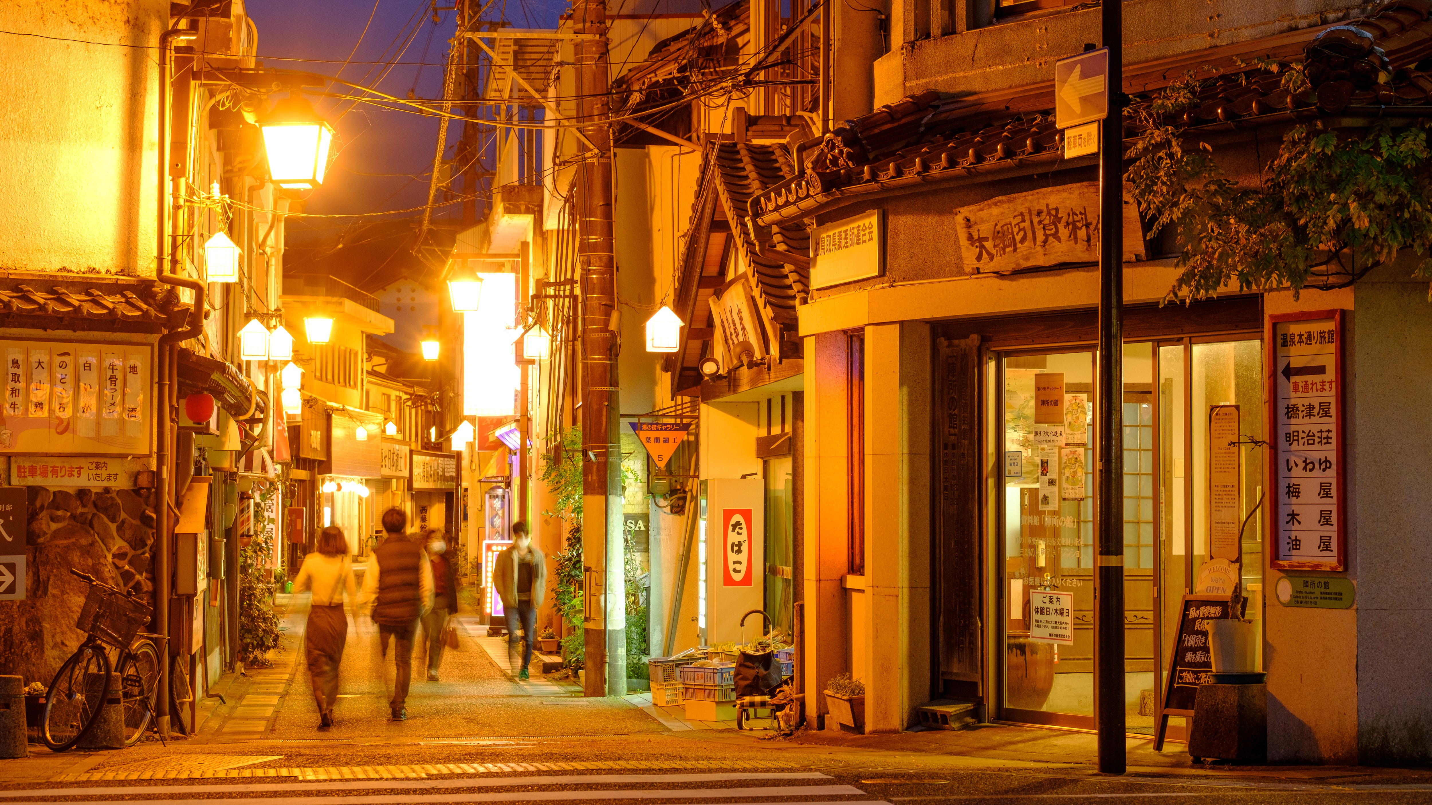 Misasa Onsen Kagaribi no Yado Yuraku