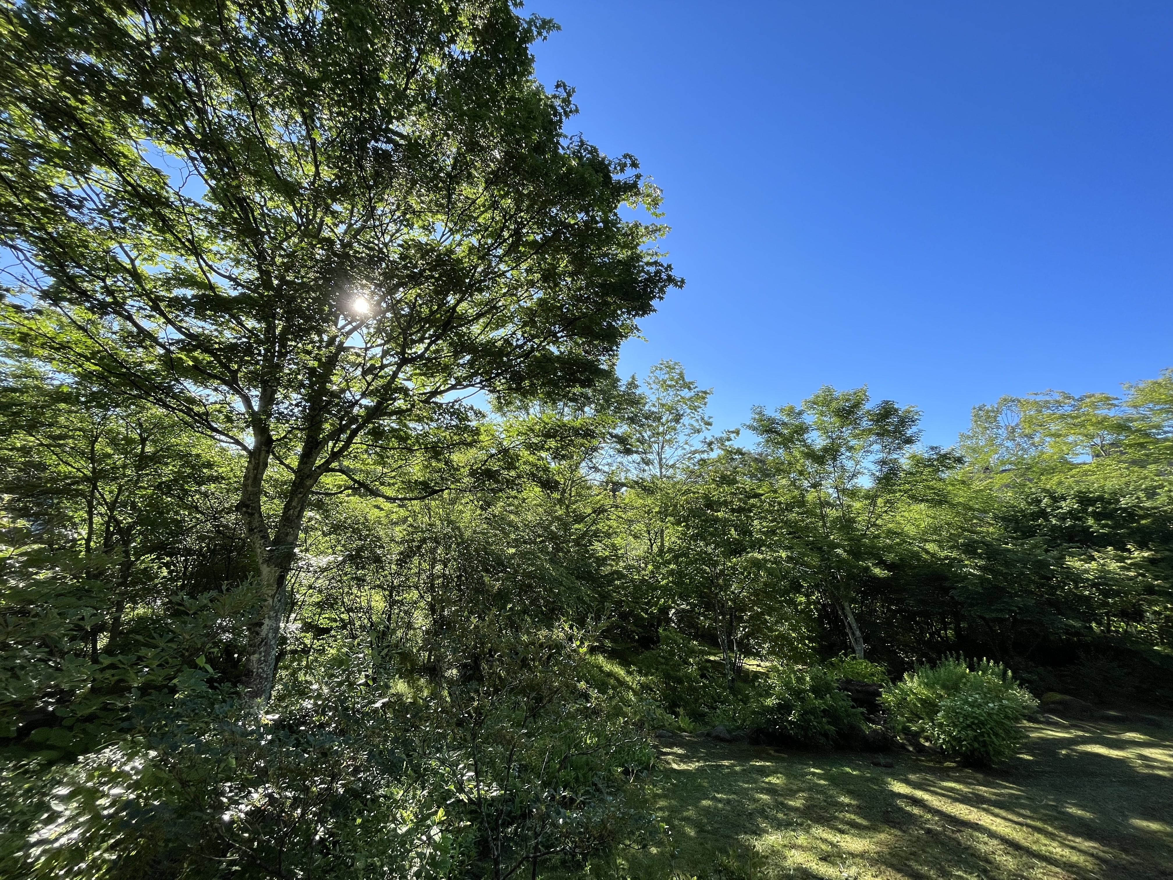 Yatsugatake Nanroku Vaku Kiyosato