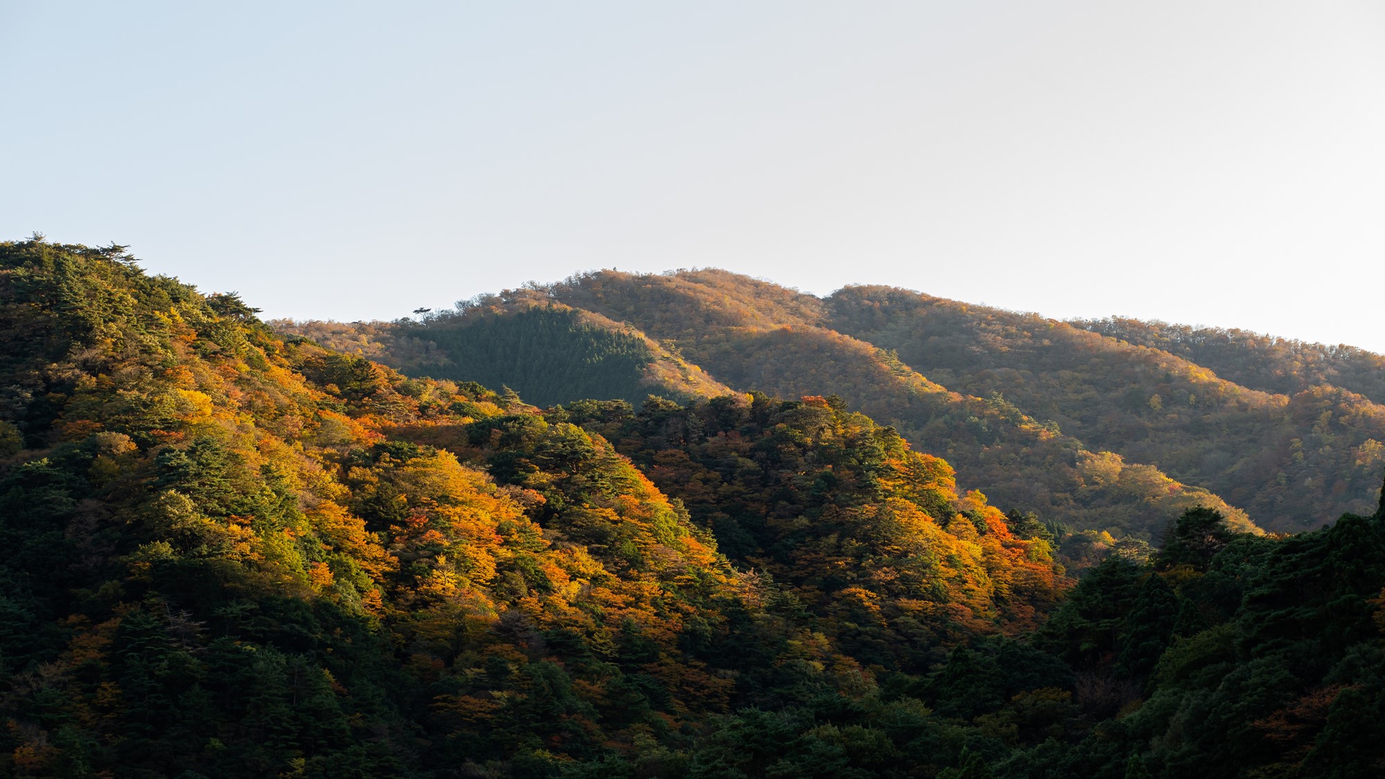 유노야마온천 산포우엔