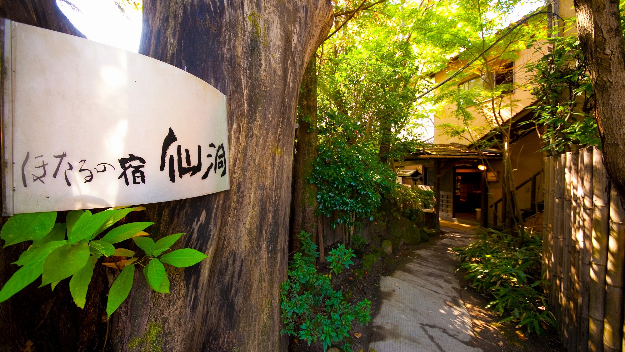 由布院温泉　旅館　ほたるの宿　仙洞