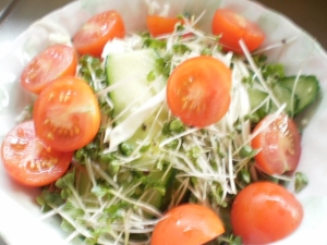 きゅうりとキャベツトマトの生野菜サラダ レシピ 作り方 By ミルミント 楽天レシピ