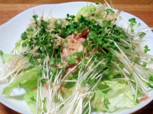 栄養満タン ブロッコリースプラウトのサラダ レシピ 作り方 By カゲジジ 楽天レシピ