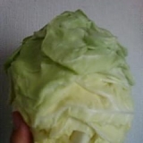 我が家のキャベツの保存方法
