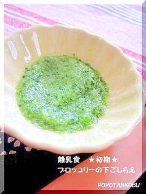 離乳食 初期 ブロッコリーの下ごしらえ レシピ 作り方 By Popotankobu 楽天レシピ 離乳食 初期 ブロッコリーの下ごしらえ レシピ 作り方 By Popotankobu 楽天レシピ