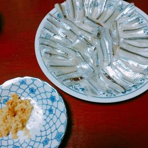 たっぷりの生姜醤油で食べるサヨリのお刺身 レシピ 作り方 By やっすん 楽天レシピ