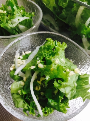 鮮やか緑 グリーンレタスとスライス玉ねぎのサラダ レシピ 作り方 By Toytoy Saori05 楽天レシピ