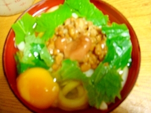 納豆を卵と大葉と梅干のぶっかけうどん レシピ 作り方 By たいつ03 楽天レシピ