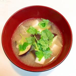 夏場の大量消費はこれですね 茄子とえのきの味噌汁 レシピ 作り方 By Cu3 Conture 楽天レシピ