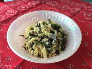 上 海藻肥料 作り方 上 海藻肥料 作り方